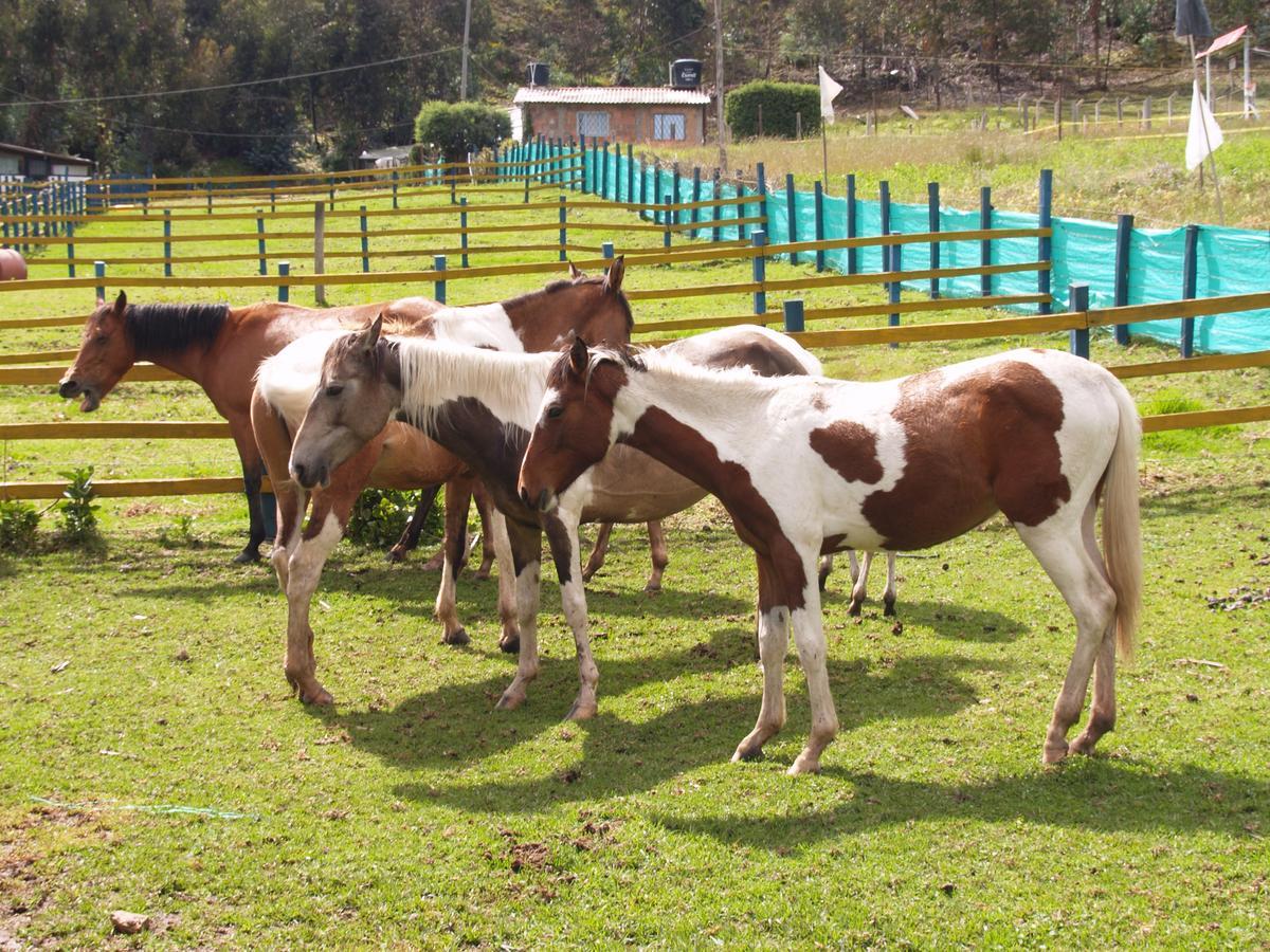 Hotel Rural La Esperanza Suesca Bagian luar foto